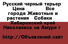 Русский черный терьер › Цена ­ 35 000 - Все города Животные и растения » Собаки   . Хабаровский край,Николаевск-на-Амуре г.